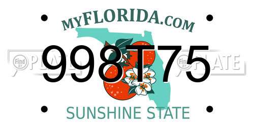 998T75 Florida License Plate