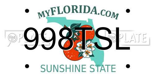 998TSL Florida License Plate