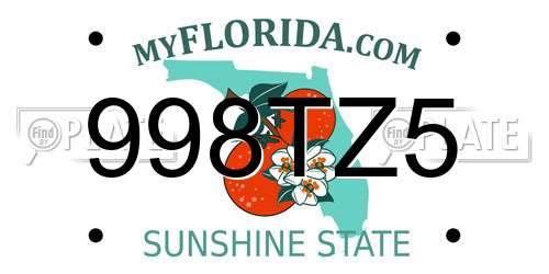 998TZ5 Florida License Plate