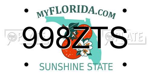998ZTS Florida License Plate