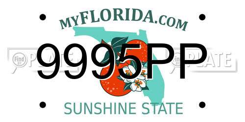 9995PP Florida License Plate