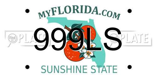 999LS Florida License Plate
