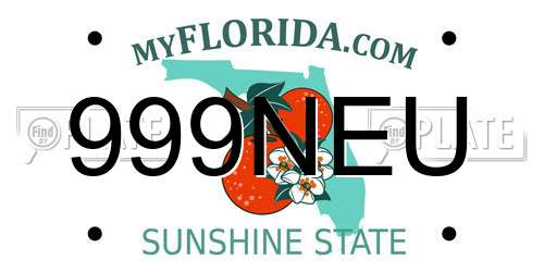 999NEU Florida License Plate