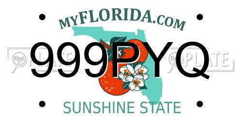 999PYQ Florida License Plate