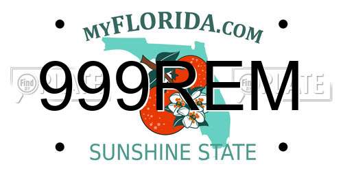 999REM Florida License Plate