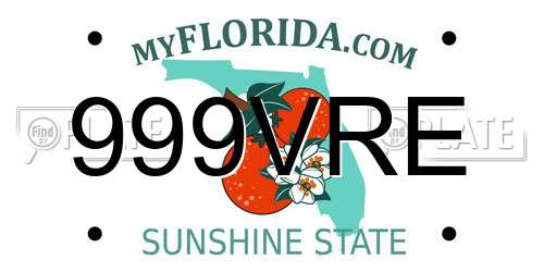 999VRE Florida License Plate