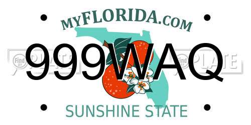999WAQ Florida License Plate