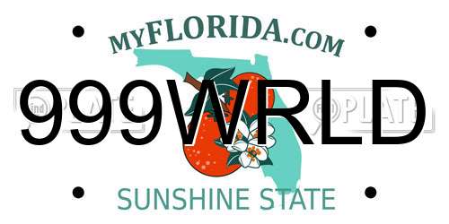 999WRLD Florida License Plate