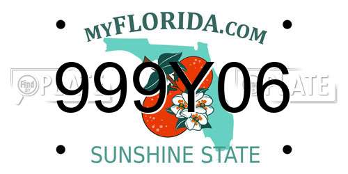 999Y06 Florida License Plate