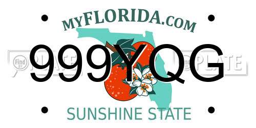 999YQG Florida License Plate