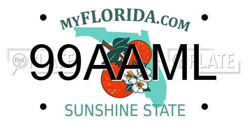 99AAML Florida License Plate