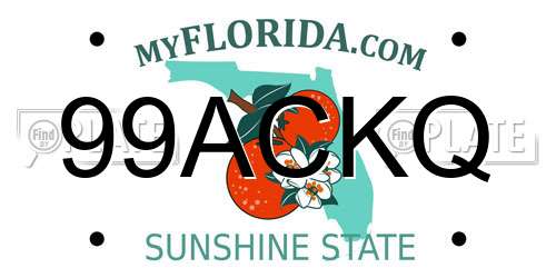 99ACKQ Florida License Plate