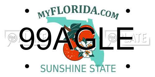 99AGLE Florida License Plate