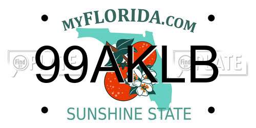 99AKLB Florida License Plate