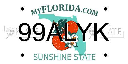 99ALYK Florida License Plate