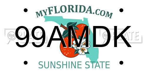 99AMDK Florida License Plate