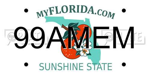 99AMEM Florida License Plate
