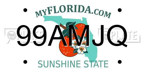 99AMJQ Florida License Plate