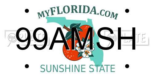 99AMSH Florida License Plate