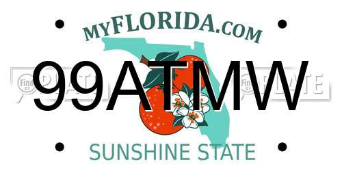 99ATMW Florida License Plate