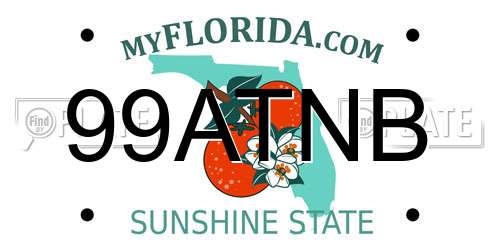 99ATNB Florida License Plate