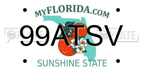 99ATSV Florida License Plate
