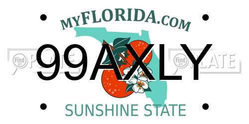 99AXLY Florida License Plate