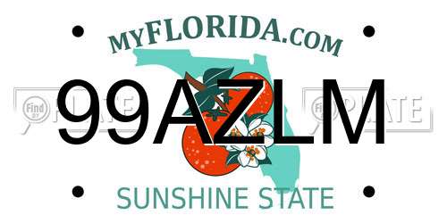99AZLM Florida License Plate