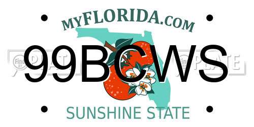99BCWS Florida License Plate