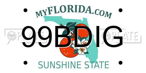 99BDIG Florida License Plate