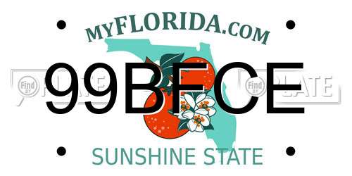 99BFCE Florida License Plate