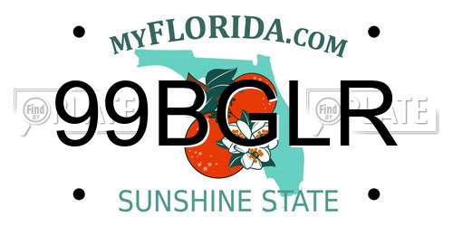 99BGLR Florida License Plate