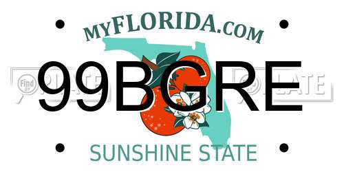 99BGRE Florida License Plate