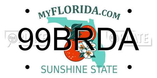 99BRDA Florida License Plate