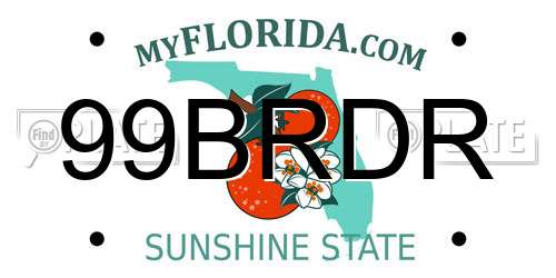 99BRDR Florida License Plate