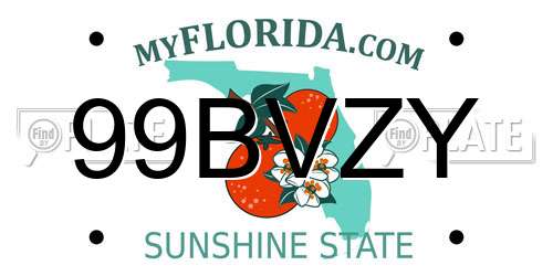 99BVZY Florida License Plate