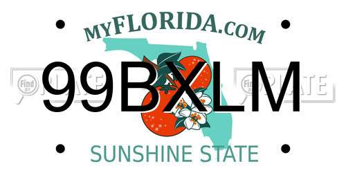 99BXLM Florida License Plate
