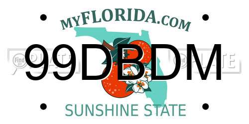 99DBDM Florida License Plate