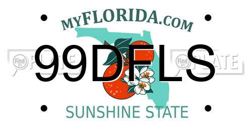 99DFLS Florida License Plate