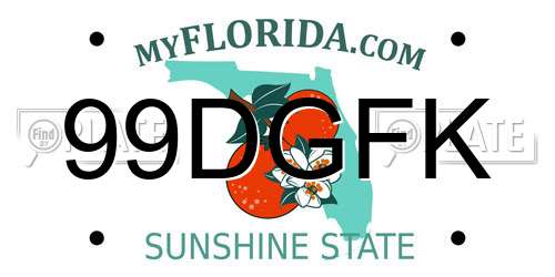 99DGFK Florida License Plate