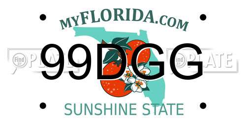 99DGG Florida License Plate