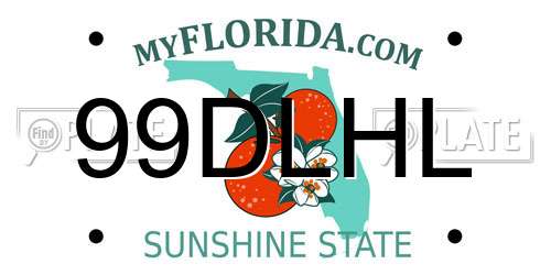 99DLHL Florida License Plate