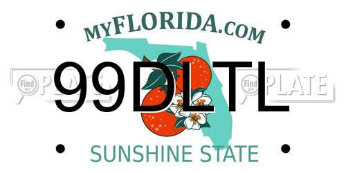 99DLTL Florida License Plate