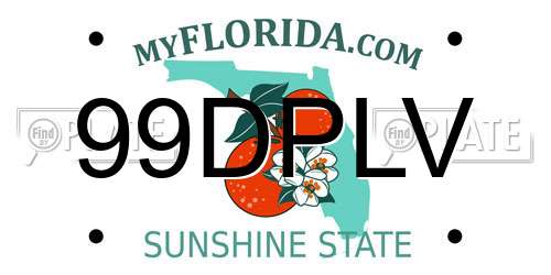 99DPLV Florida License Plate