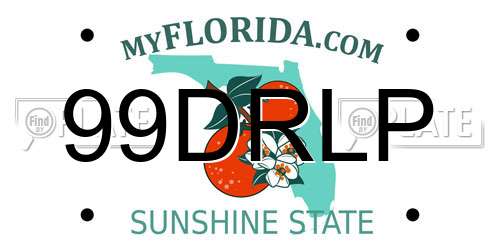 99DRLP Florida License Plate
