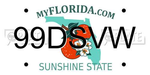 99DSVW Florida License Plate