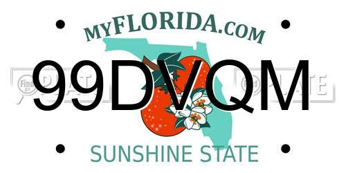 99DVQM Florida License Plate