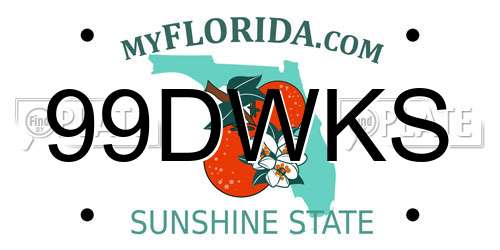 99DWKS Florida License Plate