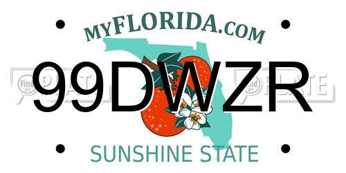 99DWZR Florida License Plate