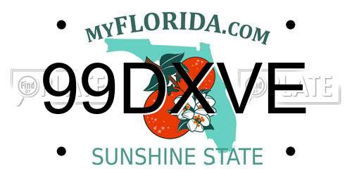 99DXVE Florida License Plate